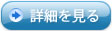 詳細を見る